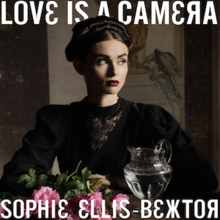 Love Is A Camera Download