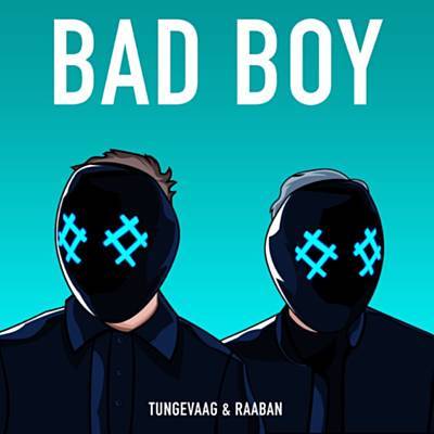 Bad Boy Download