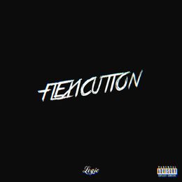 Flexicution Download