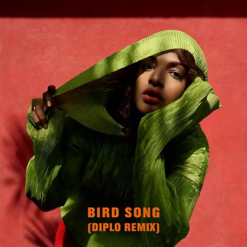 Bird Song Download