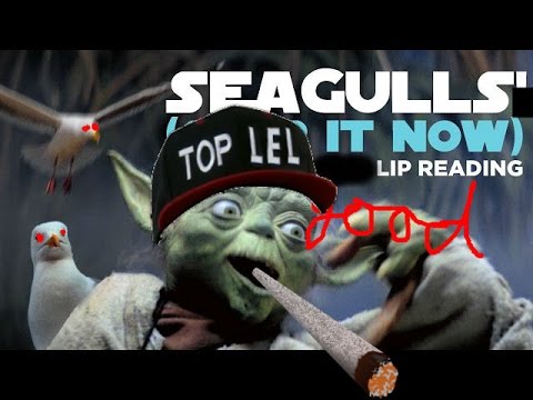 SEAGULLS Stop It Now Download