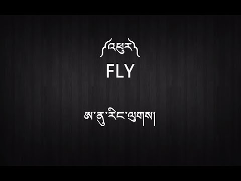 FLY Download