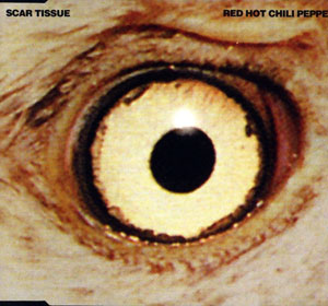 Scar Tissue Download