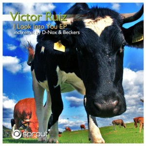 I Look Into You (Original Mix) Download